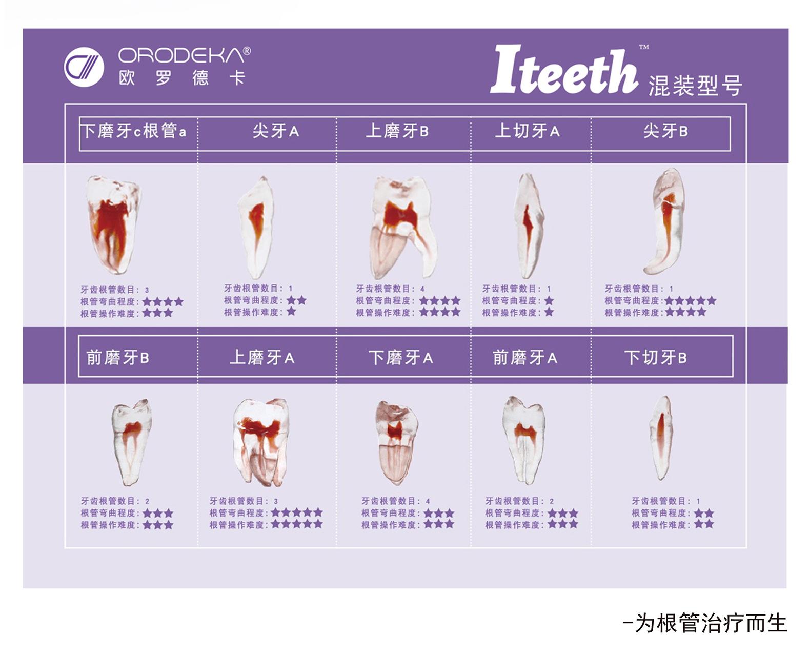 【欧罗德卡】3D打印仿真牙3.jpg